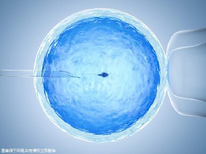 林教授